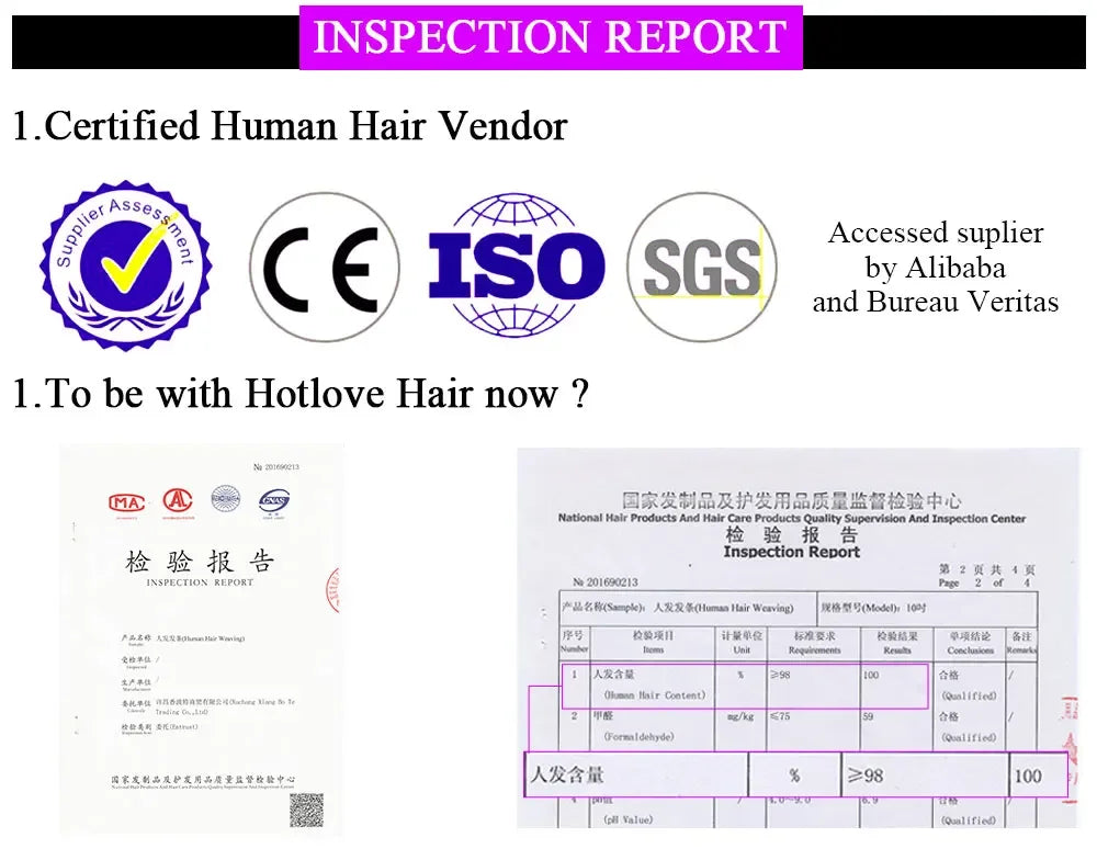 13x6 Highlighted Wig Human Hair 4/27 Colored Straight HD Lace Front Wig Ombre Lace Frontal Wigs Pre Plucked With Baby Hair